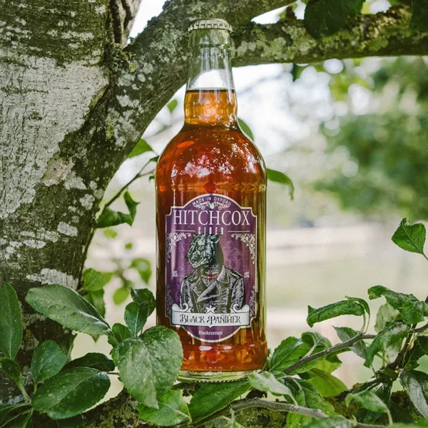 Black Panther Cider in tree bottle