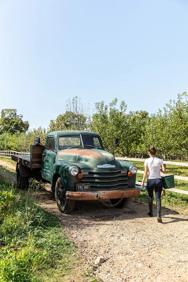 Hitchcox Van in Orchard