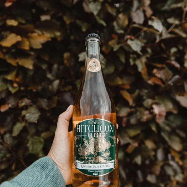 Kingston Black Hitchcox Cider held